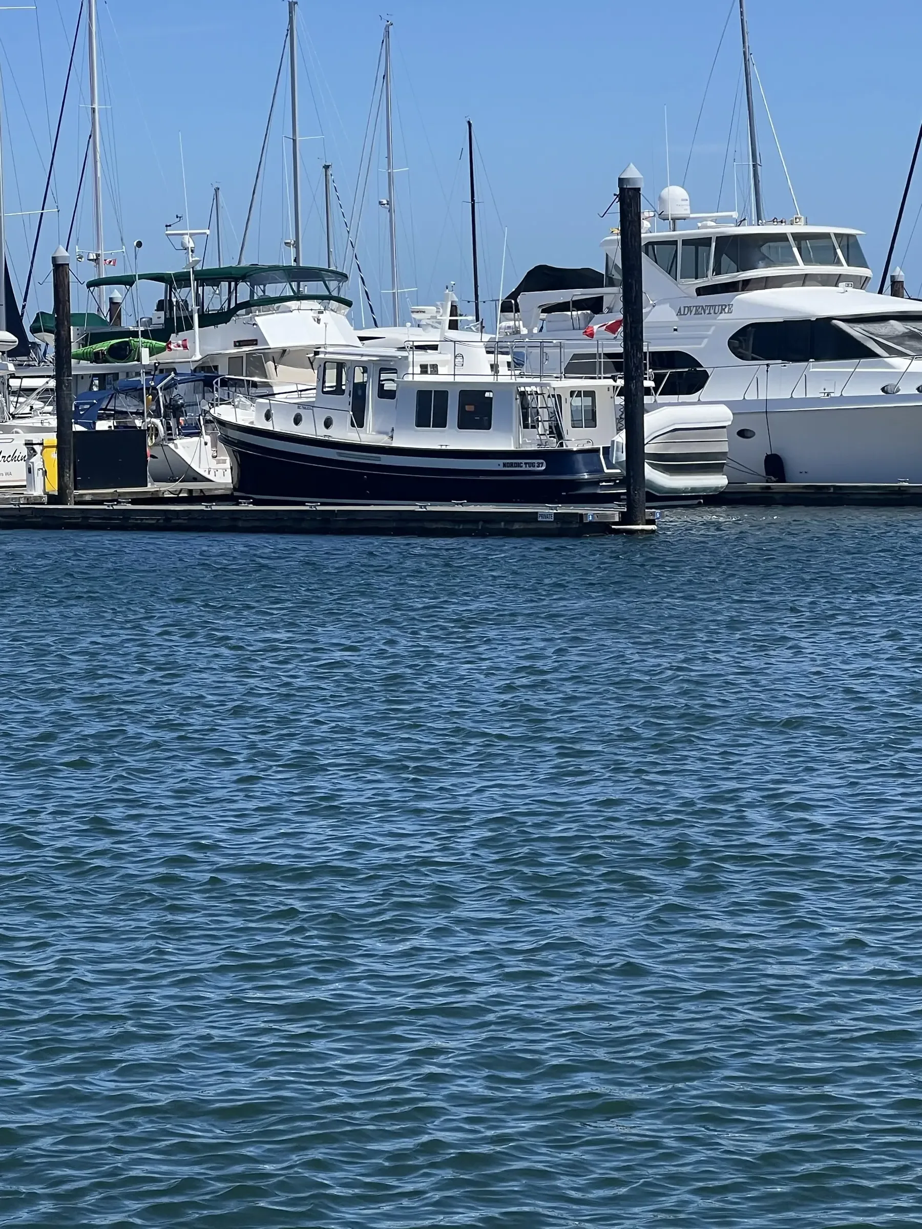 Yachts moored at a Pacific Northwest marina
